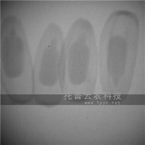 種子活力測(cè)定儀