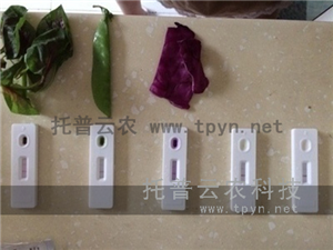 轉基因檢測試紙