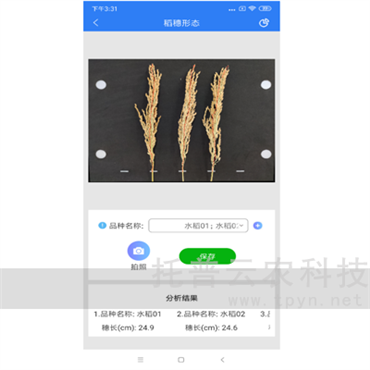 稻穗形態(tài)測量儀