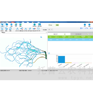 植物根系分析儀(掃描款)