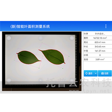 智能葉面積測(cè)量系統(tǒng)