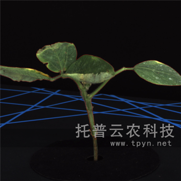 高通量逆境模擬及植物生長(zhǎng)監(jiān)測(cè)平臺(tái)