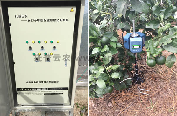 實(shí)時(shí)傳輸采集數(shù)據(jù)