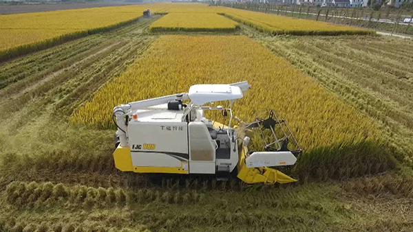 江蘇海門高標準農(nóng)田