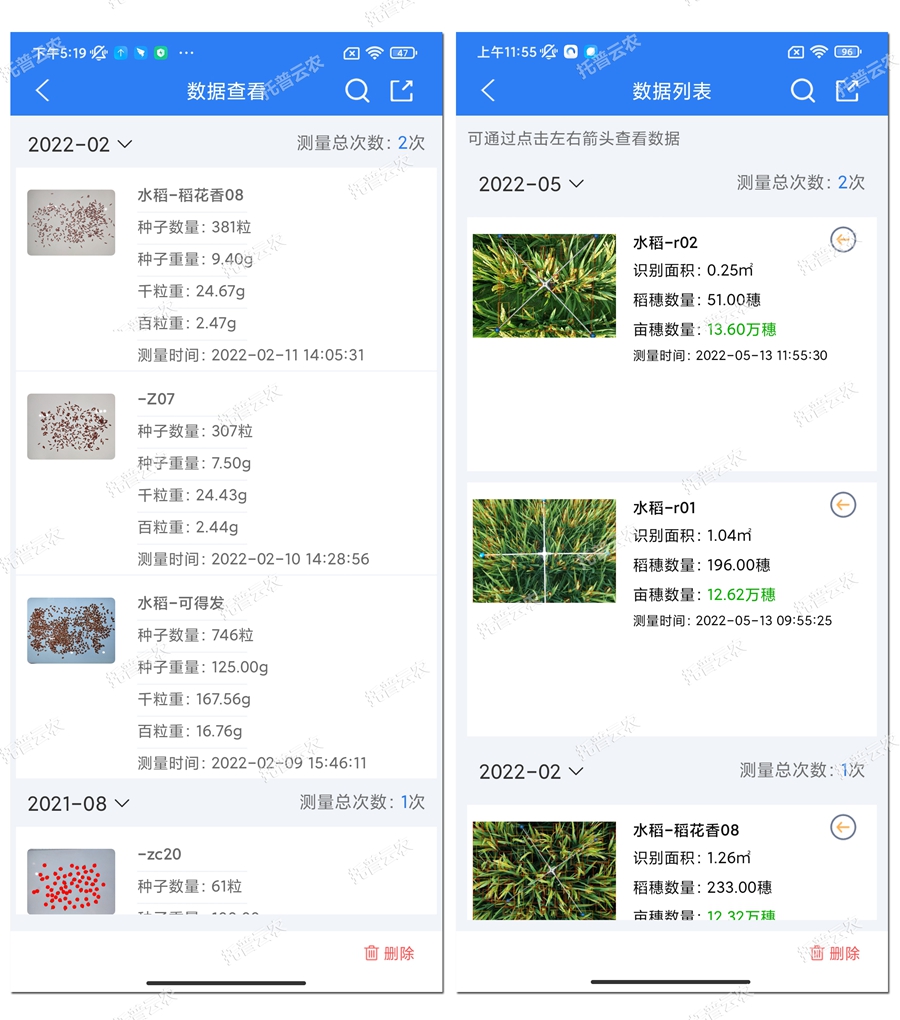 千粒重與畝穗數(shù)結(jié)果