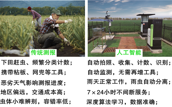 圖像拍拍就能對(duì)農(nóng)作物蟲(chóng)害了如指掌,托普云農(nóng)怎么做到的