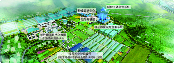 種業(yè)基地現(xiàn)代化
