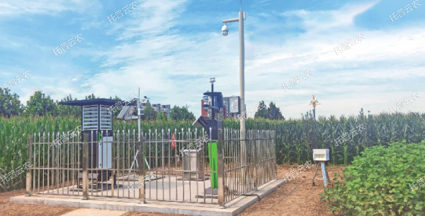 實時采集制種基地農(nóng)情、墑情、病情、蟲情數(shù)據(jù)信息