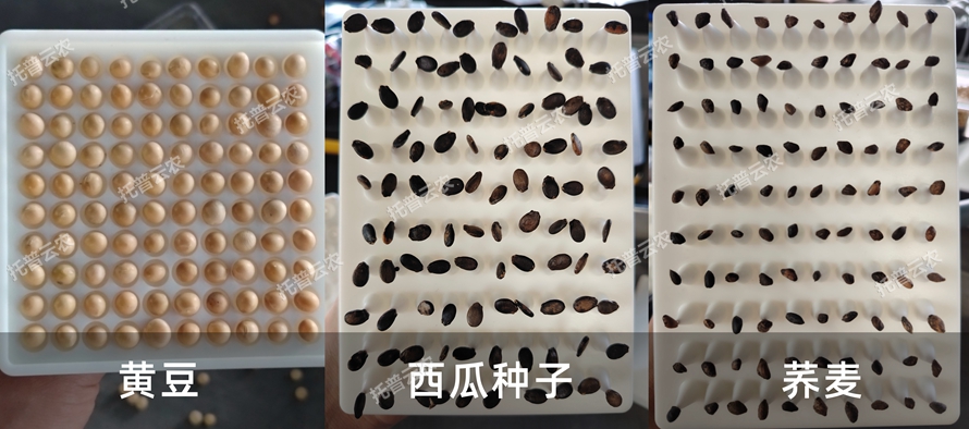 多功能真空數(shù)種置床臺/真空置床系統(tǒng)TP-SZC-60