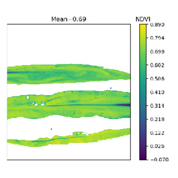 高光譜 動(dòng)圖